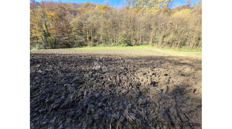 Poljoprivredno zemljište 2.464m² u Selnu kod Krapinskih Topl - 3
