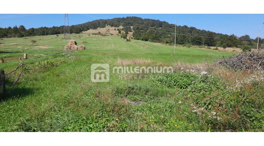 Gorski Kotar, Ravna Gora, starina za 40.000€/hrk - 3