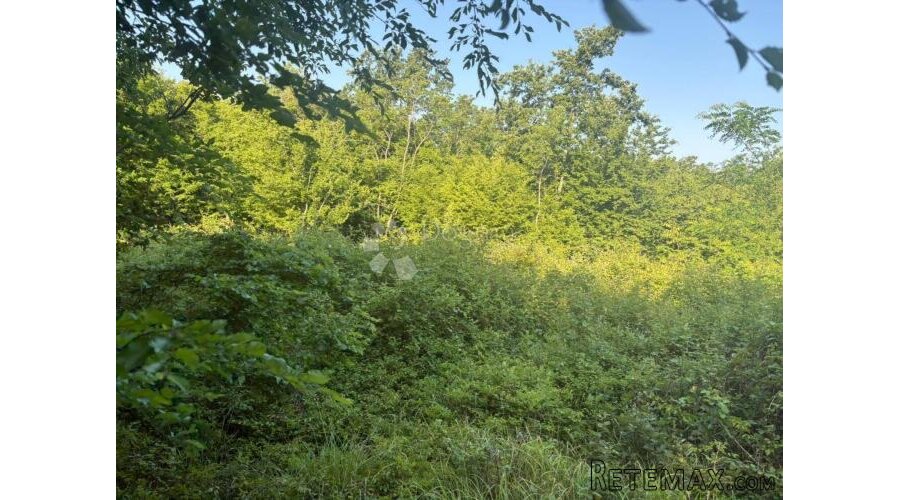 Poljoprivredno zemljište Baderna 11866 m² - 2