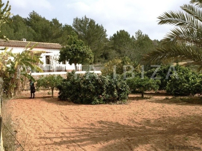 Wonderful Finca for renovation in..