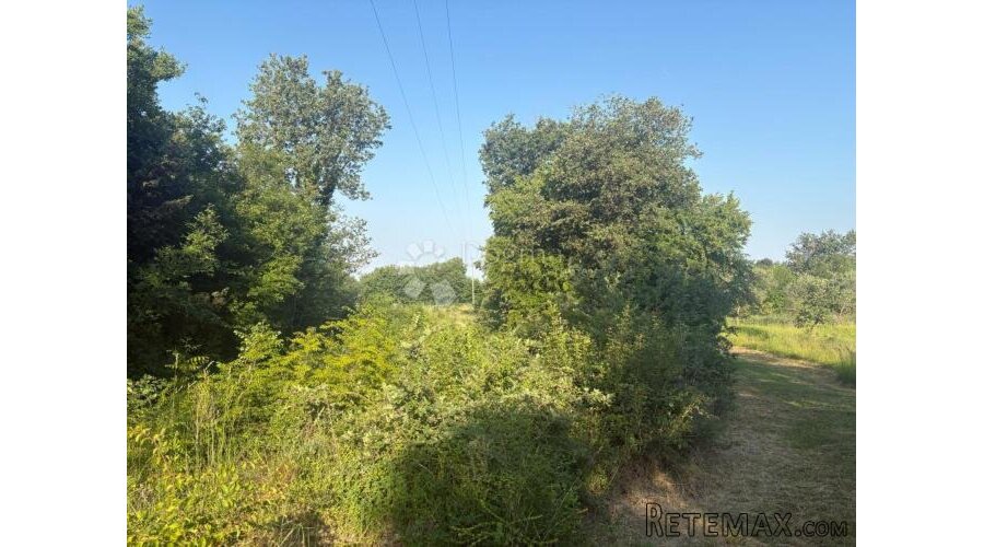 Poljoprivredno zemljište Jurcani 27000 m² -Investicijska pri - 2