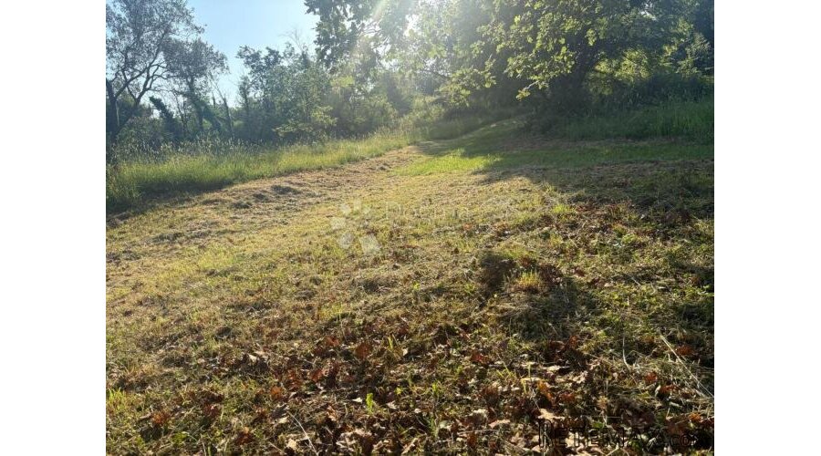 Poljoprivredno zemljište Jurcani 27000 m² -Investicijska pri - 3