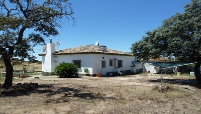Finca Farm - Three bedroom country..