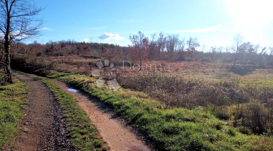 TINJAN – odlično kombinirano zemljište 20 km od mora - 2