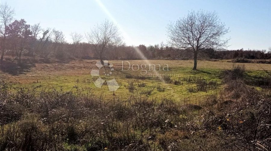 TINJAN – odlično kombinirano zemljište 20 km od mora - 3