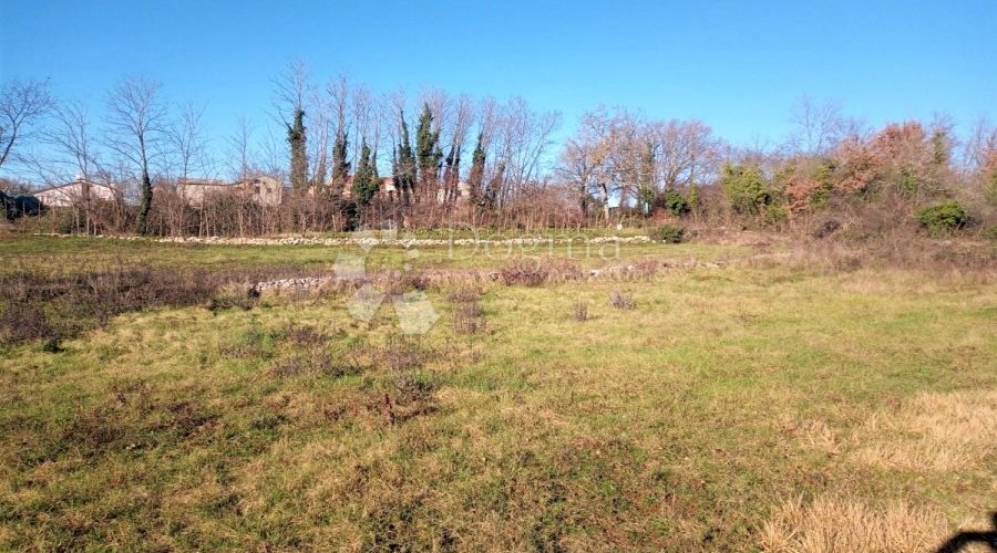 TINJAN – odlično kombinirano zemljište 20 km od mora - 5