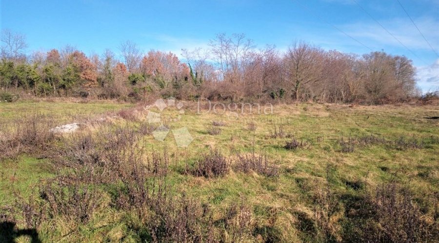 TINJAN – odlično kombinirano zemljište 20 km od mora - 6