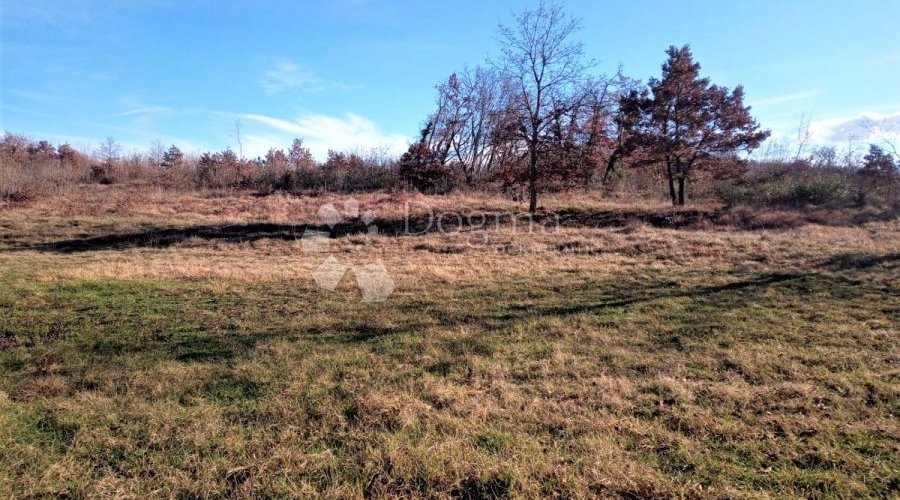 TINJAN – odlično kombinirano zemljište 20 km od mora - 7
