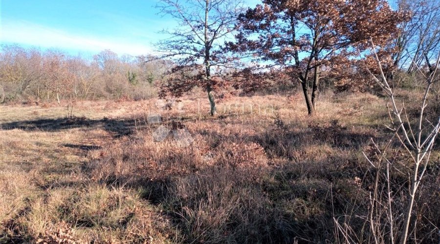 TINJAN – odlično kombinirano zemljište 20 km od mora - 9