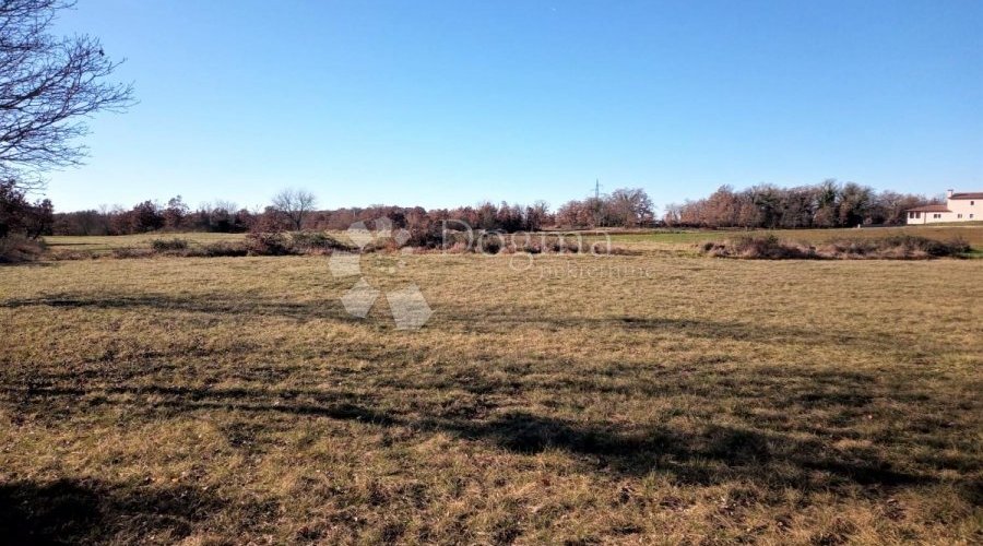 TINJAN – odlično kombinirano zemljište 20 km od mora - 10