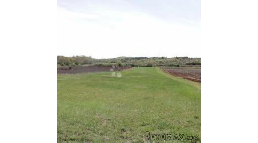 Flengi, Vrsar - poljoprivredno zemljište 8440m2 - 2
