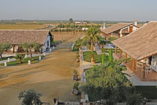 equestrian property, horsestables.. - 2