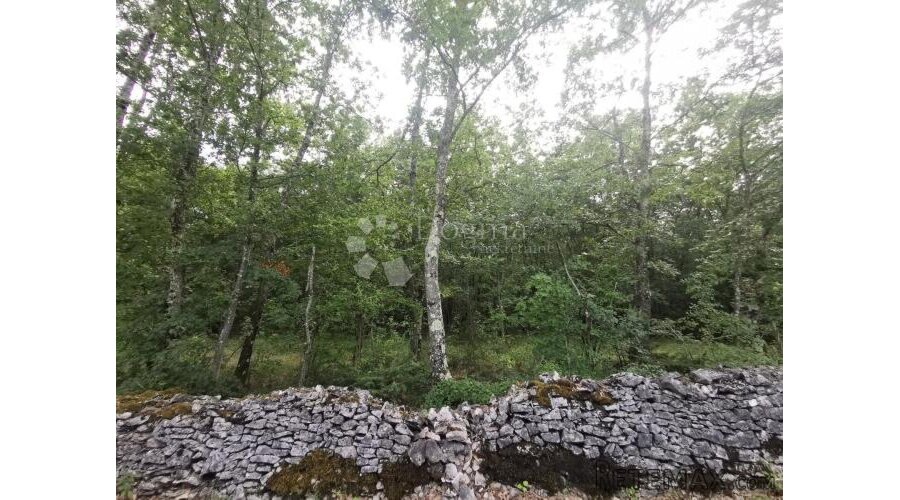 Poljoprivredno zemljište (šuma)