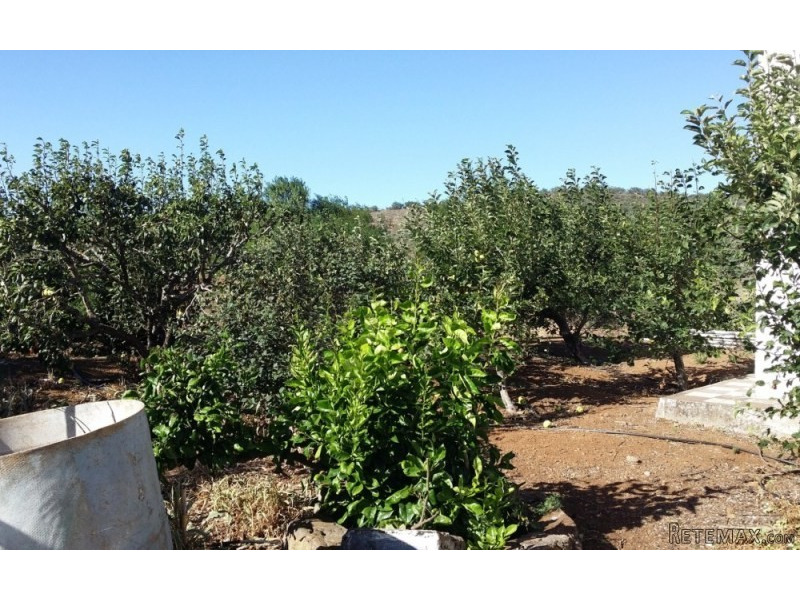 Finca in Galdar with fantastic views at.. - 2