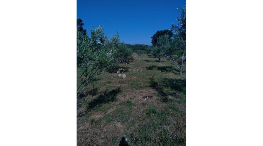 Građevinsko zemljište -1950m2-Vinjerac - 2
