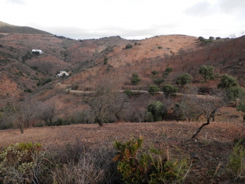 Building Plot, (build 65700 m2), (plot..