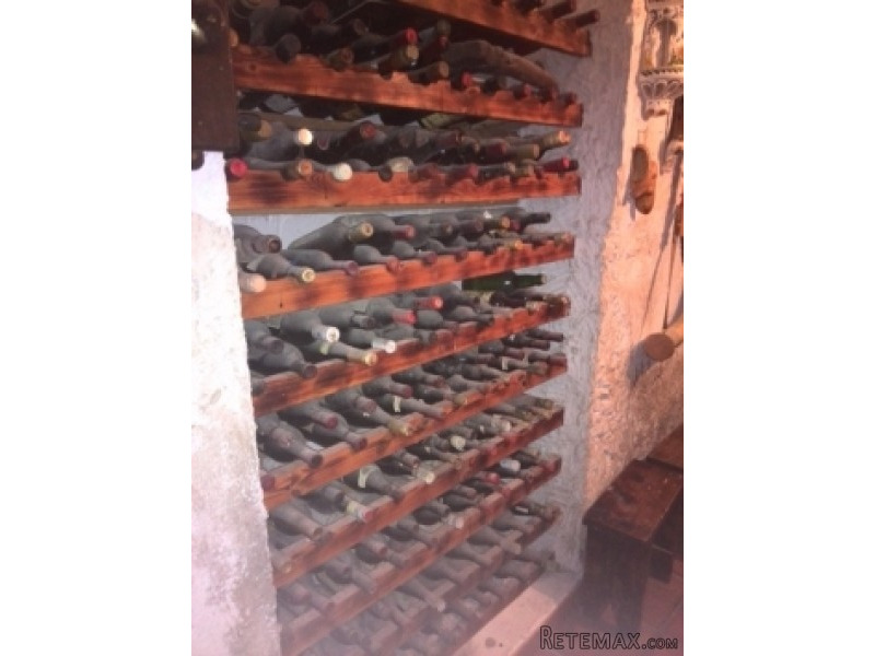 Alguena- Cave House With Bodega - 2