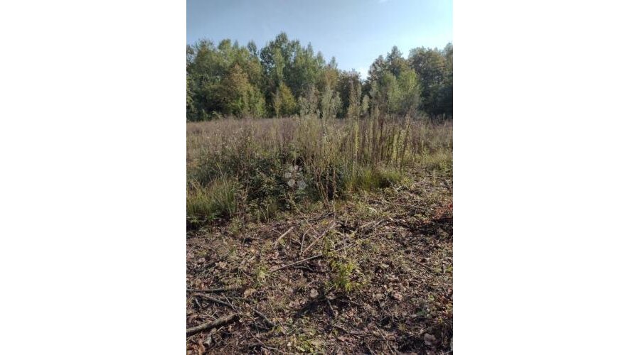 Još 4.5 Ha netaknute divljine