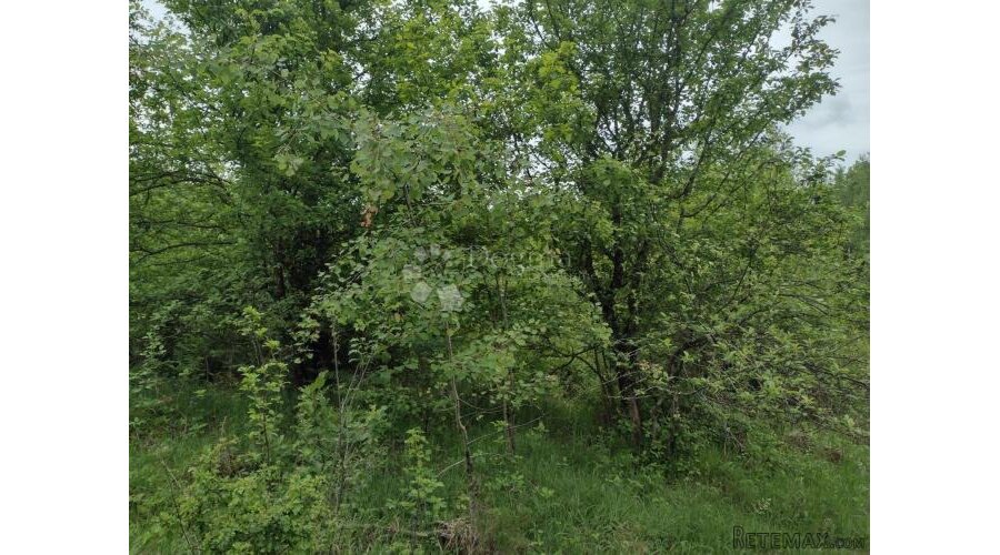 Zemljište za eko poljoprivredu, Dugo Selo Lasinjsko - 2