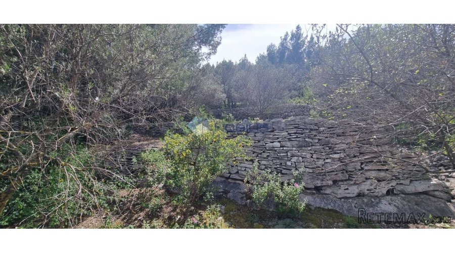 Korčula, Prigradica, 755m2, 80m do mora, otvoreni pogled - 2