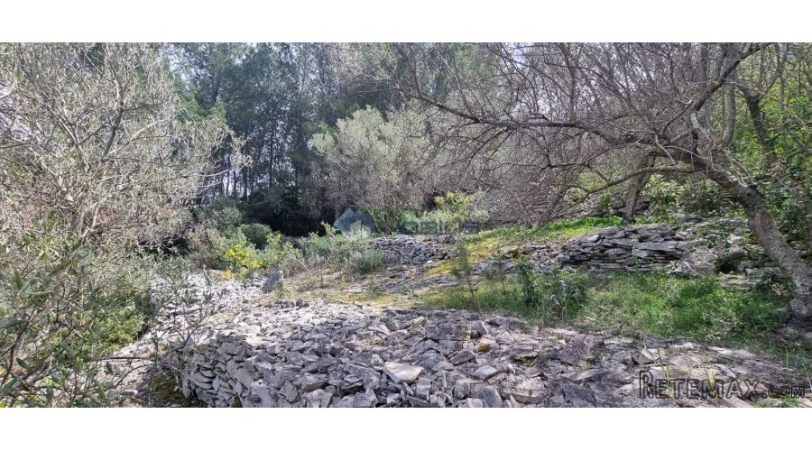 Korčula, Prigradica, 755m2, 80m do mora, otvoreni pogled - 3