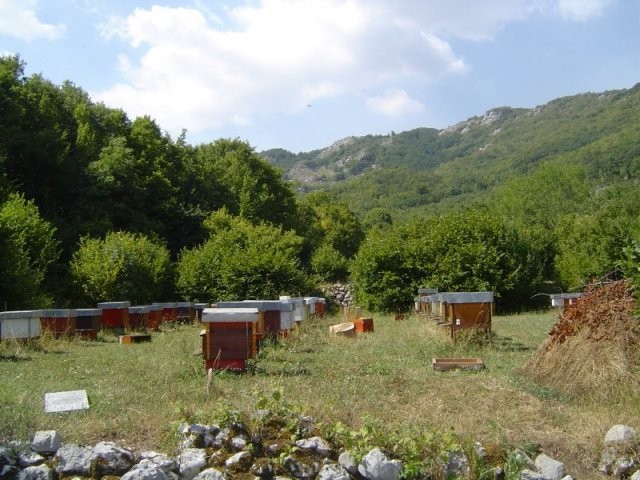 Bare land in Cetinje - 2