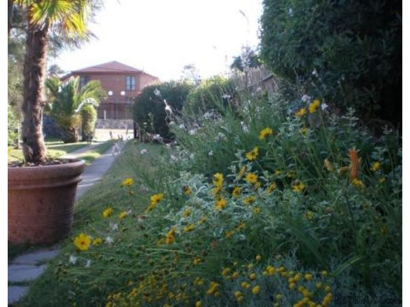 4 Bedroom House - For Rent - Rinc. Del.. - 2
