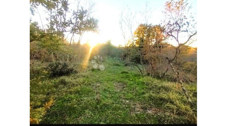 Šuma i oranica Bale