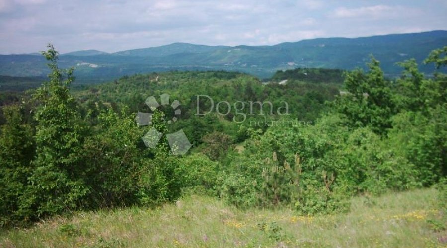 ISTRA, IMPOZANTNO IMANJE - 3