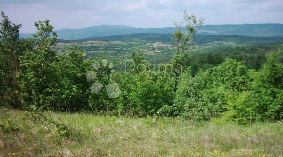 ISTRA, IMPOZANTNO IMANJE - 4