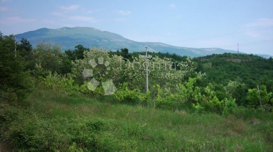 ISTRA, IMPOZANTNO IMANJE - 5
