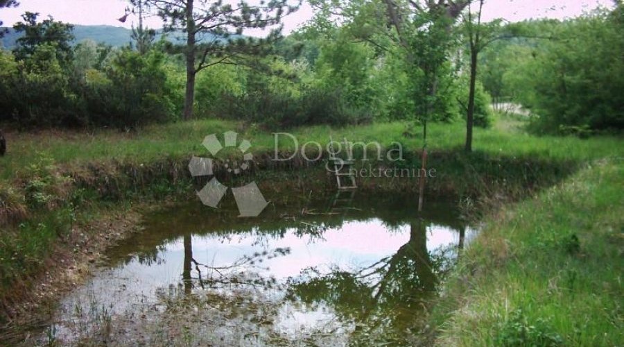 ISTRA, IMPOZANTNO IMANJE - 7
