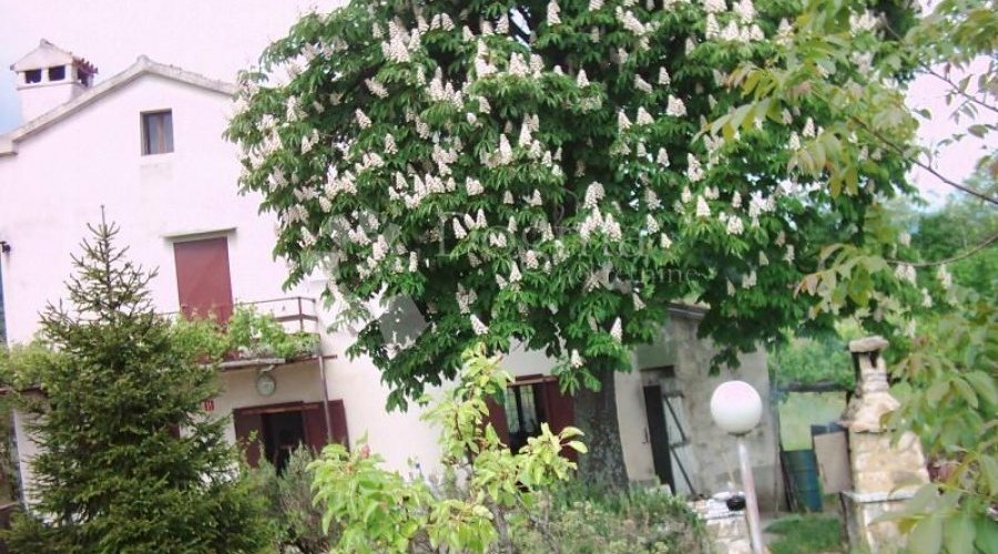 ISTRA, IMPOZANTNO IMANJE - 10