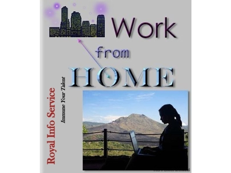 Data entry job of Royal Info Service.
