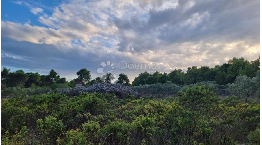 Poljoprivredno zemljište 13472 m2- Milna,Brač