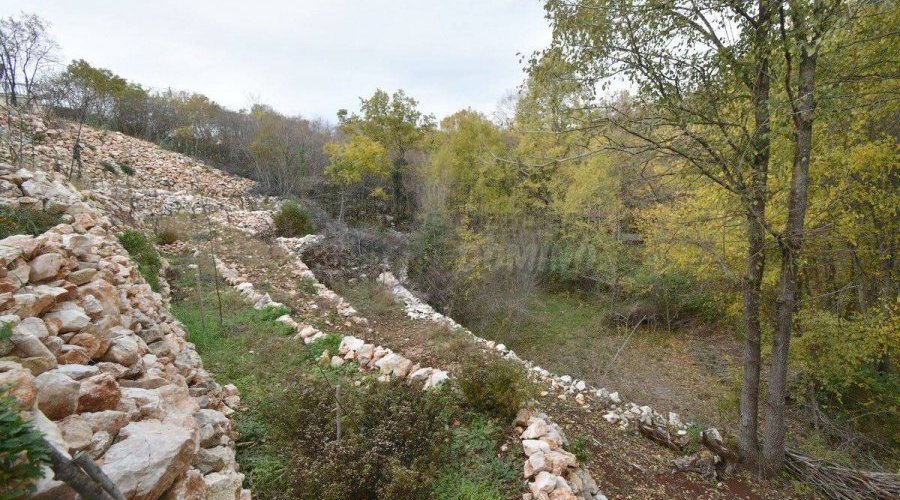Kuća s lijepom okućnicom i bazenom - 9