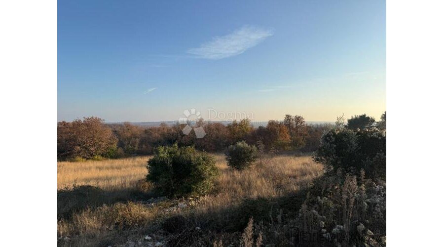 Sveti Lovreč, građevinsko zemljište 1.520m2-PRILIKA - 3