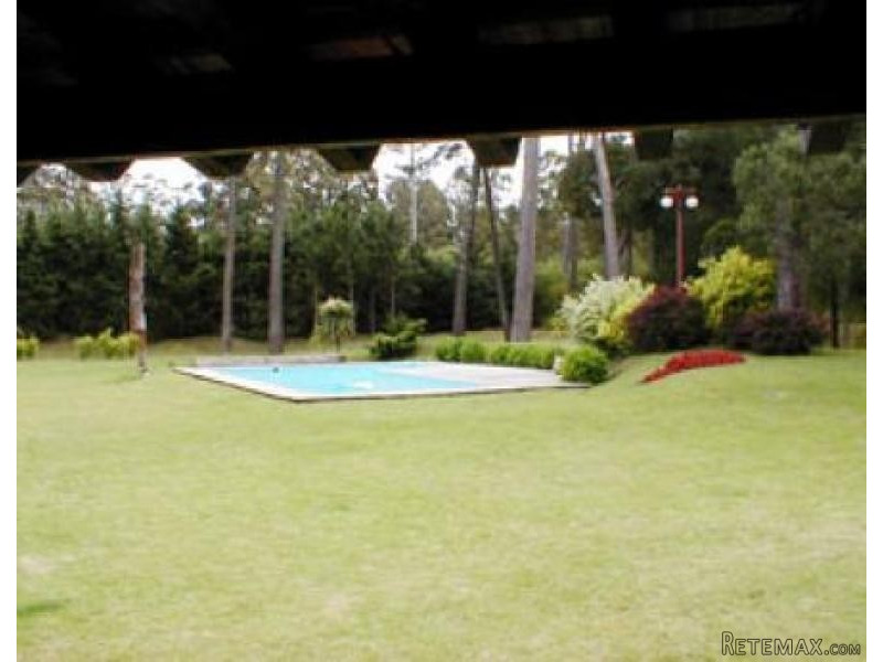 4 Bedroom House - For Rent - Pinares - 2