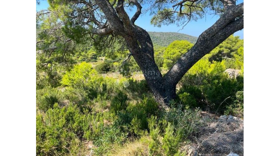 Otok Vis - izniman posjed s kamenom starinom za adaptaciju ! - 11