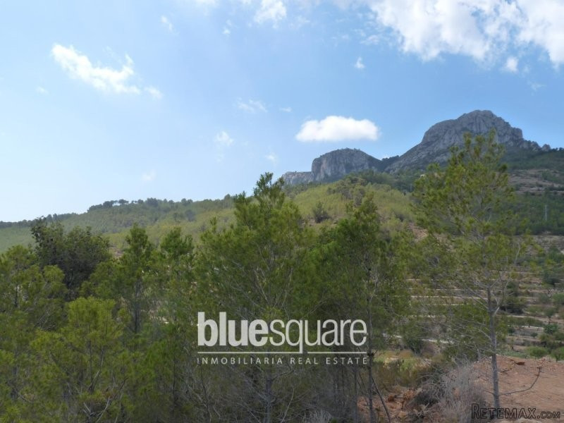 Fantastic plot with gorgeous panoramic..