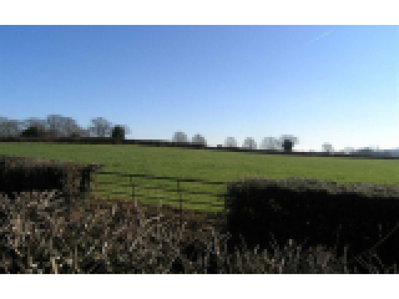 Longtown, Hereford - 2