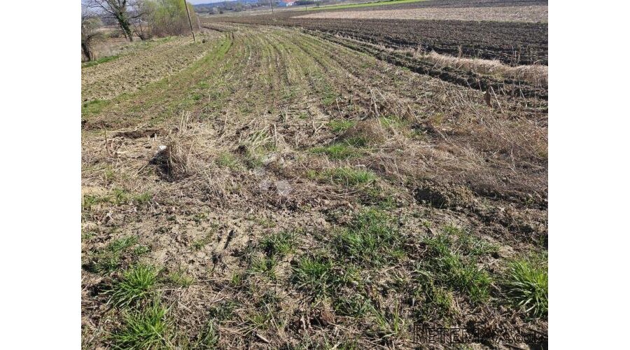 Građevinsko zemljište u Beretincu - 2