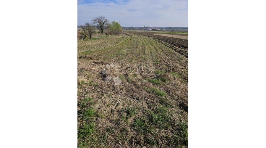 Građevinsko zemljište u Beretincu - 3