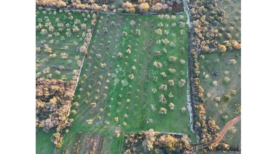 Poljoprivredno zemljište s maslinikom u Fažani, 800 m od mor - 3