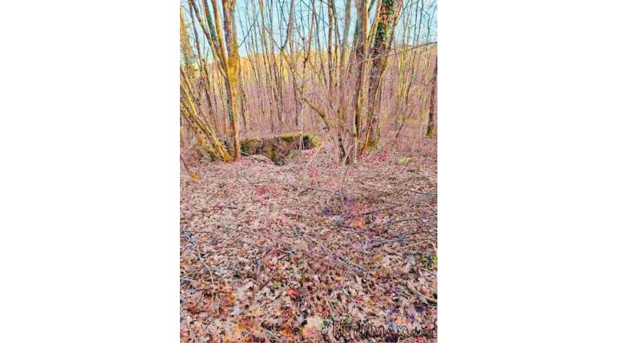 Ogulin - poljoprivredno zemljište s potencijalom