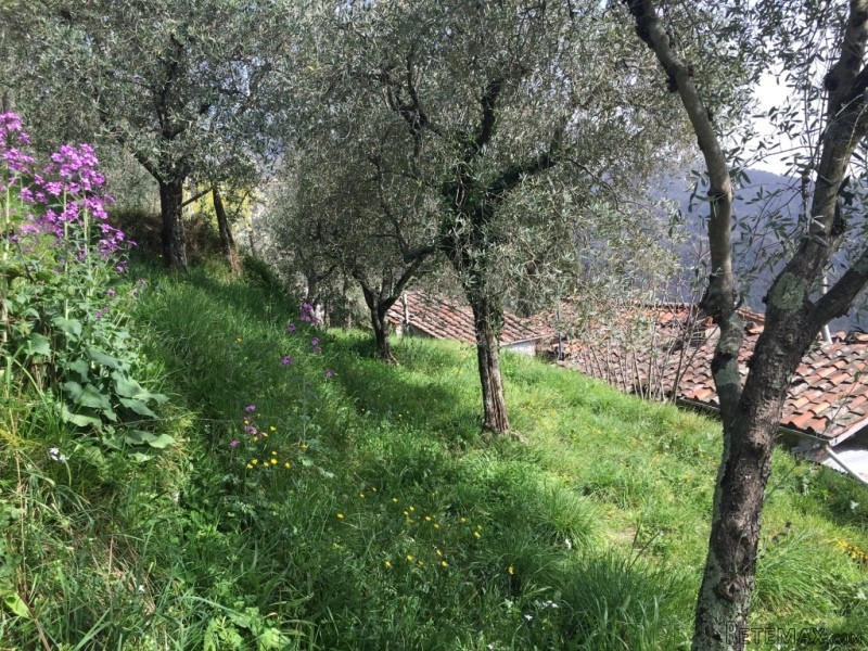 Borgo Brancoli - 2