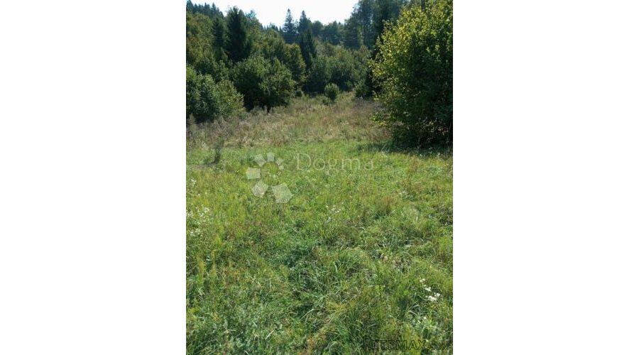 GORSKI KOTAR DELNICE PRILIKA ZA LUKSUZNO IMANJE ili do 10 vi