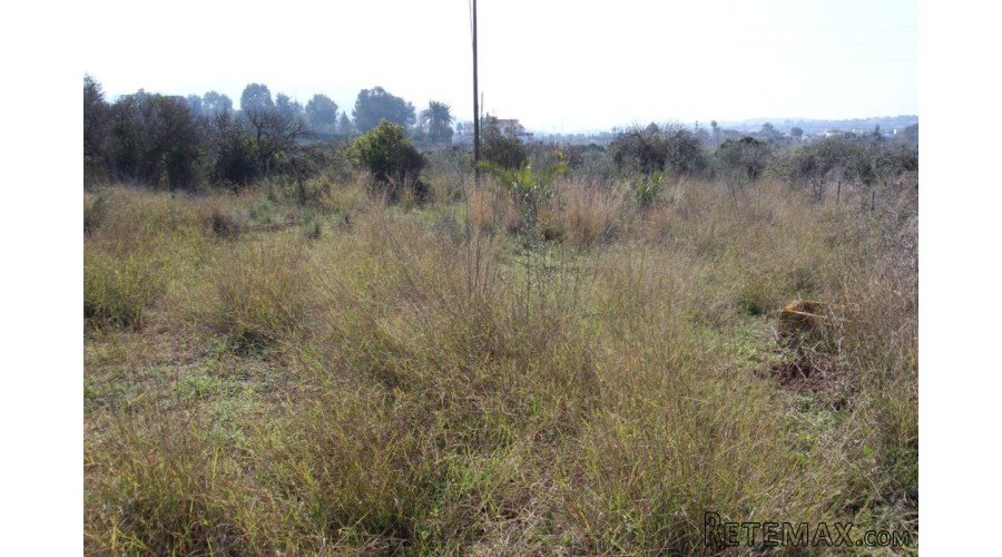 Traditional finca style property that needs total.. - 5