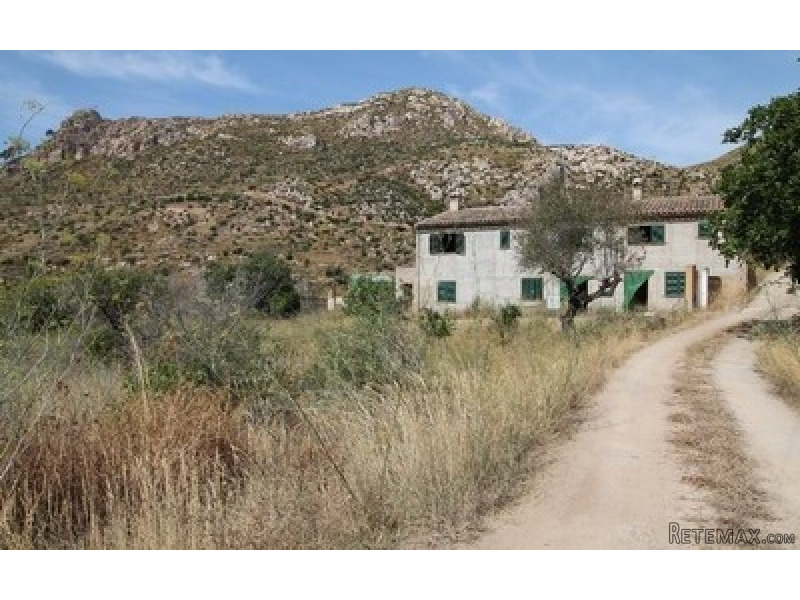 finca for sale in Andratx that needs..