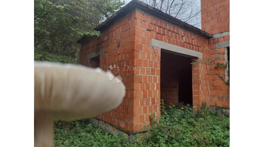 Uredno vlasništvo, 1,8ha - 2